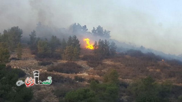    فيديو: انتبهوا ..  توسع دائرة الحريق في احراش نريت واورانيت وقوات كبيرة تصل الى مكان الحادث 